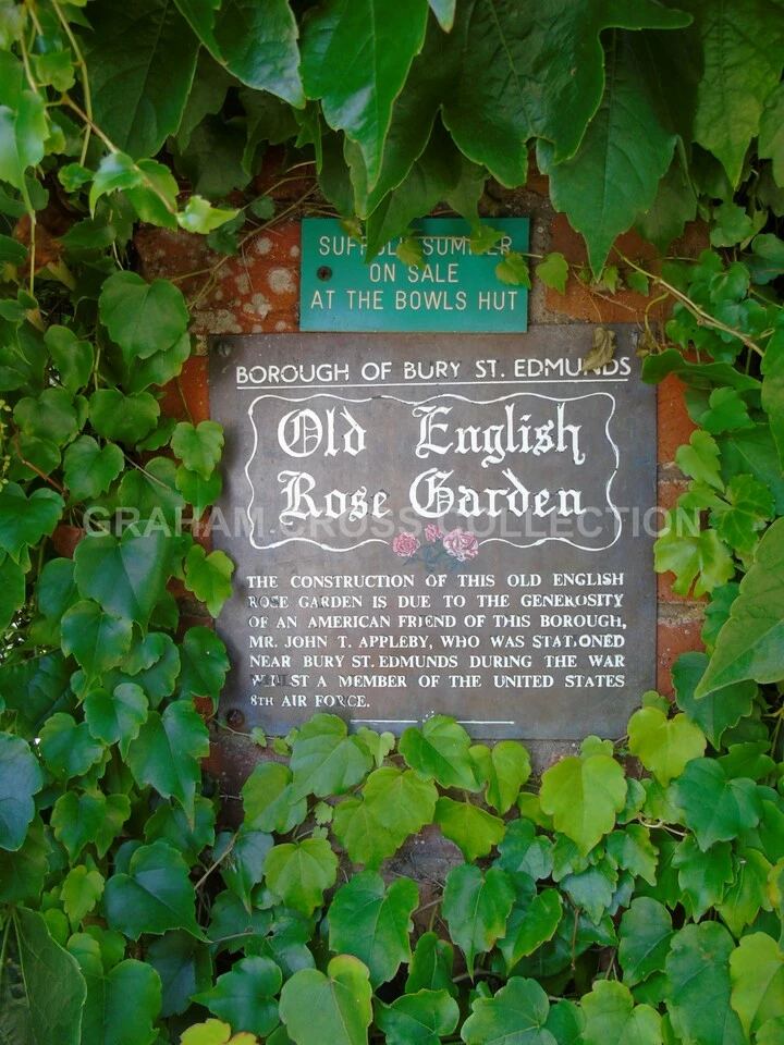 The small plaque hidden away amongst the ivy announcing Appleby’s connection to the Rose Garden.